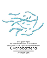 Poster - Cyanobacteria, or blue-green algae, are among the oldest known forms of life on Earth from the Archean eon. They played a crucial role by producing oxygen through photosynthesis. Colorful illustration