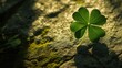 Four Leaf Clover Resting on a Rock - Symbol of Luck and Good Fortune
