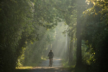 Femme Cycliste De Dos, Sur Un Chemin En Foret, Cyclotourisme Nature