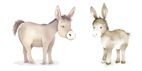 cute donkey watercolor vector illustration