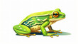 A green frog on a white background cartoon isolated.