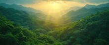Mountains Green Trees Top View, Background Design Images
