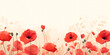 Light floral background with poppies, copy space