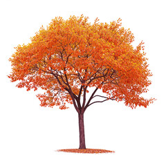 Wall Mural - autumn tree PNG file transparent background