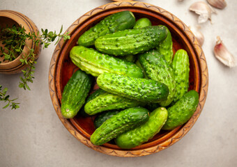 Fresh natural green cucumbers.