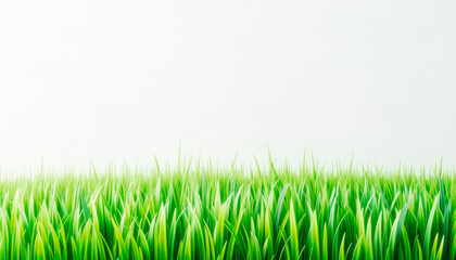 Wall Mural - fresh green grass field on a foggy white background, symbolizing growth and vitality. generative ai