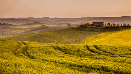 Canvas Print - Wheat fields tuscan village