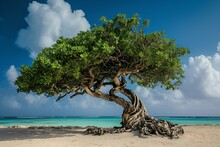 A Small Tree Is Standing On A Beach, Near The Water
