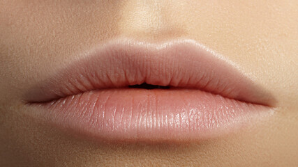 Wall Mural - Perfect Natural Lip Makeup. Close Up Macro Photo with Perfect Clean Skin, Light Fresh Lip Make-up. Beautiful Spa Lips