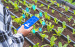 © Prapat - Farmer hand using smart farming application on smartphone with icons in organic vegetable farm, concept of modern agricultural technology innovation, close up with copy space