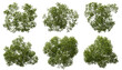 Aerial view greenery forest trees canopy cut out transparent backgrounds 3d render png