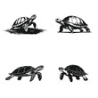 Turtle logo icon set premium silhouettes design