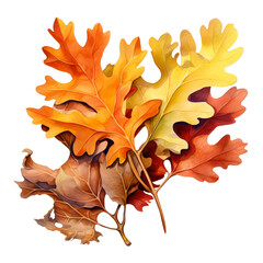 Wall Mural - autumn leaves isolated on white