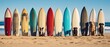 Surfers with their dogs on the beach in a sunny day. Surfboards on the beach. Vacation Concept with Copy Space.