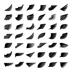 Wall Mural - wings. symbols of aviation or pilot emblems recent vector stylized wings collection