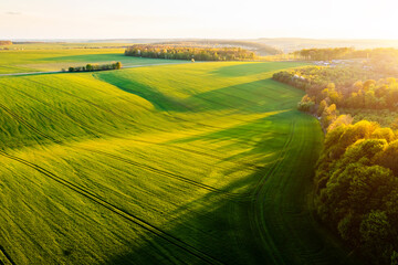 Canvas Print - Bird's eye view of agriculture area and green wavy fields in sunny day.