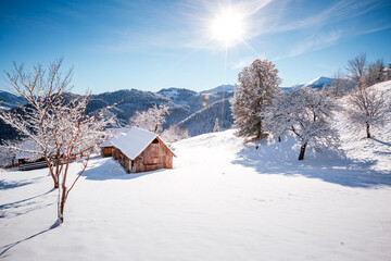 Poster - Idyllic view of the mountainous area on a frosty and sunny day. Carpathian mountains, Ukraine, Europe.