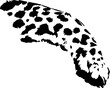 Vector cheetah spotted paw. Black, isolated on white. Element for design card, poster, illustration about wild , african nature
