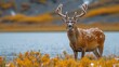 a close up of a deer near a body of water with yellow flowers in the foreground and a mountain in the background.