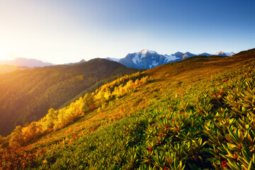 Poster - A splendid view of the mountain area in the morning light. Zemo Svaneti, Georgia, Main Caucasian ridge.