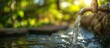 Refreshing Water Tap in Nature Background - A Serene Blend of Water, Tap, and Nature in the Background