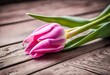 tulips on the wood background