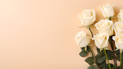 Wall Mural - close up of beautiful bunch of white roses flowers on decent light beige, bisque background - the background offers lots of space for text