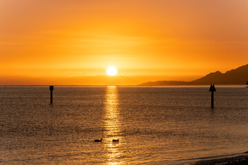 Sunset at Maunalua Bay Beach Park, Hawaii Kai, Honolulu Oahu.  two ducks