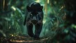 Close-up of a black panther in the jungle, A black jaguar walks stalking prey. generative AI image