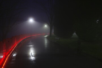 Canvas Print - Winter night in the park