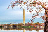 Fototapeta  - Stumpy and the Washington Monument