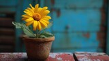Fototapeta Dmuchawce - A cheerful yellow flower blooms in a pot, adorning a tabletop with vibrant beauty, Ai Generated