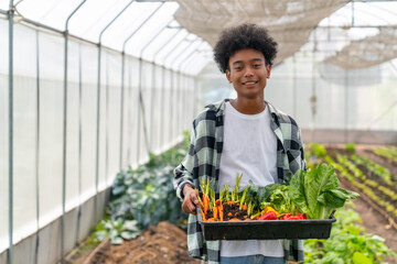 happy african teenage boy holding a crate of organic vegetables in greenhouse garden. school student