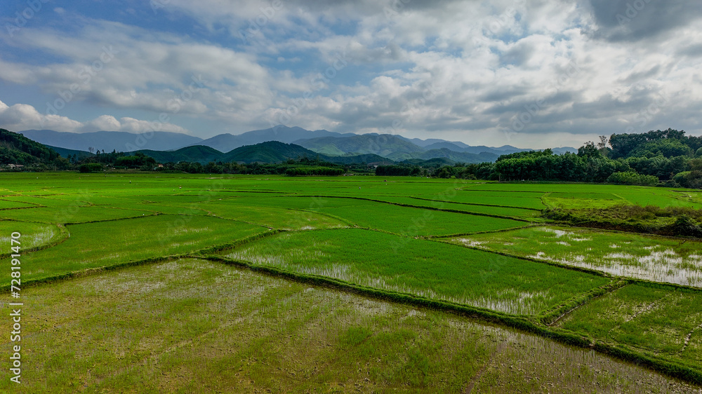 Lush green rice paddies with water-filled terraces under a cloudy sky ...