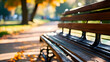 Park, bench, Graden, Autumn, bench in park, empty bench in park,  benches in autumn park, HD background, HD wallpaper,