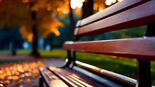 Park, Bench, Graden, Autumn, Bench In Park, Empty Bench In Park,  Benches In Autumn Park, HD Background, HD Wallpaper,