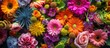 Beautiful Boho Flowers Arrangement in High Angle Shot: A Gorgeous Display of Beautiful Boho Flowers in a High Angle Arrangement