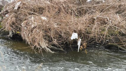 Sticker - ゴミが引っかかった増水後の河川の風景