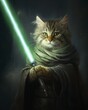Jedi with laser sword, cat portrait
