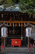 © 大野恒昭 - Hanazono shrine in Ueno, tokyo.it has tiny torii