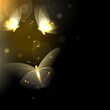 Fragile Flying Glowing Butterflies