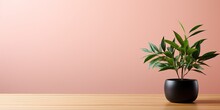 A Table With A Plant And A Pink Wall Background Used For Design And Product Display.