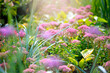 Blooming flower bed in spring or summer fabulous green garden on mysterious fairy tale floral background, beautiful nature with eupatorium blossom.