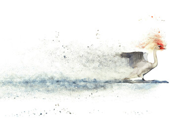 White Swan. Abstract artistic nature. Dispersion, splatter effect. 