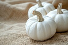 This Is A Close Up Photo Of Three White Pumpkins On A Burlap Potato Sack Background. 