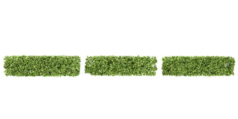 from top view of grecian bay trees collection with realistic style