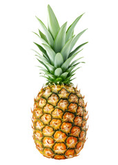 Wall Mural - pineapple isolated on white background, full depth of field