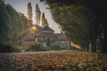 Germany, Hamburg, Autumn Leaves In Front Of Trinkhalle At Sunset