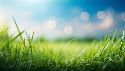 Sticker - world environment day concept green grass and blue sky abstract background with bokeh