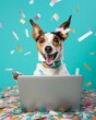 © Ashi - Playful dog celebrating success with laptop and colorful confetti on pastel turquoise background
